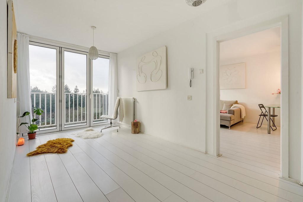 Anna Paulownalaan 172_16.jpg